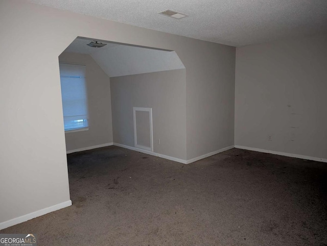 additional living space featuring a textured ceiling, carpet floors, and lofted ceiling