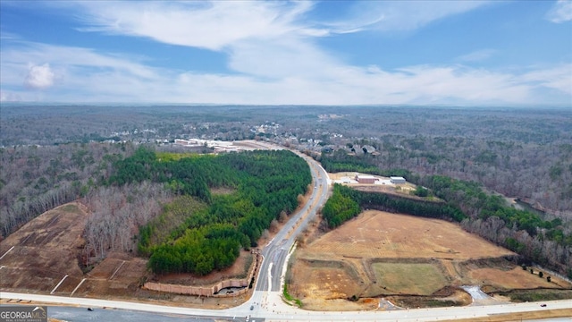 bird's eye view