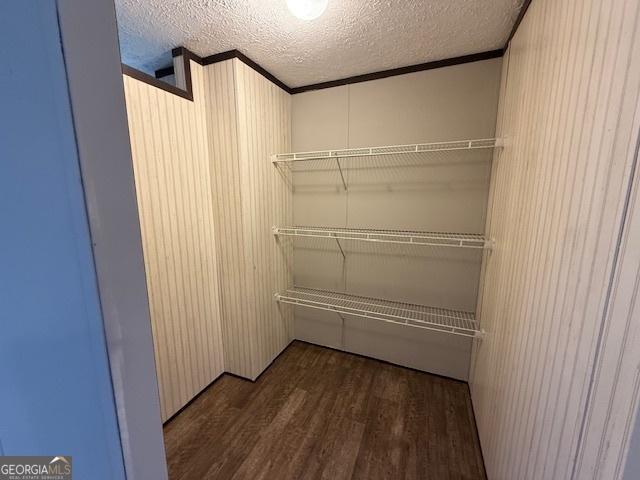 spacious closet featuring dark hardwood / wood-style flooring