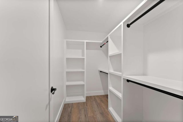 spacious closet with dark hardwood / wood-style floors