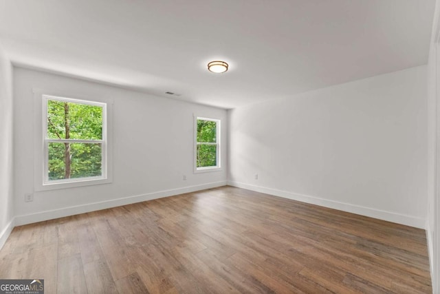 spare room featuring a wealth of natural light and wood-type flooring