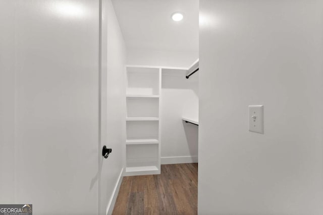 walk in closet featuring wood-type flooring