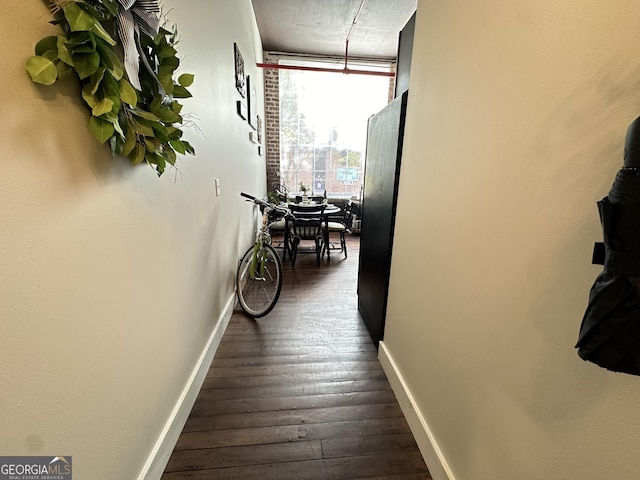 hall featuring dark hardwood / wood-style flooring