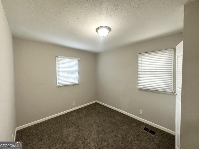 empty room featuring plenty of natural light, carpet, and a textured ceiling