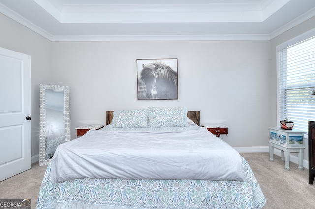 carpeted bedroom with a raised ceiling and crown molding