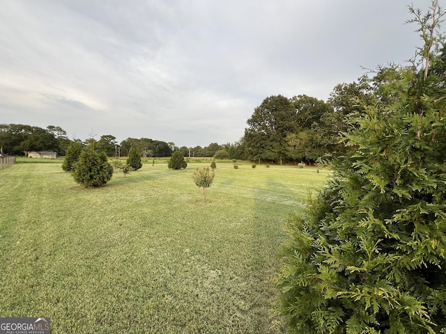 view of local wilderness with a rural view