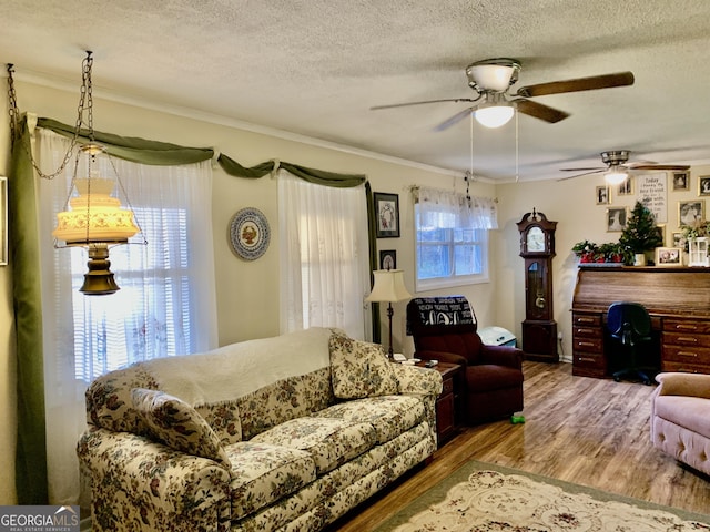 living room with wood-type flooring, a textured ceiling, and ornamental molding