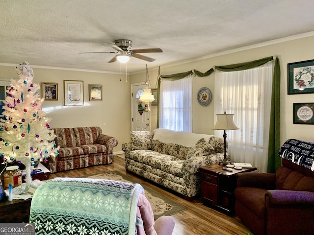 living room featuring hardwood / wood-style floors, a textured ceiling, ceiling fan, and crown molding