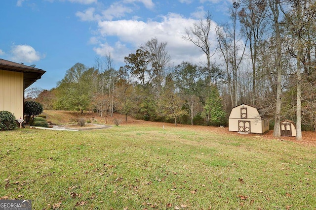 view of yard featuring a storage shed