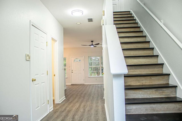 stairs featuring wood-type flooring and ceiling fan