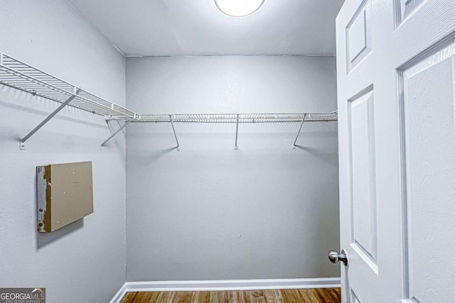 walk in closet featuring dark hardwood / wood-style flooring