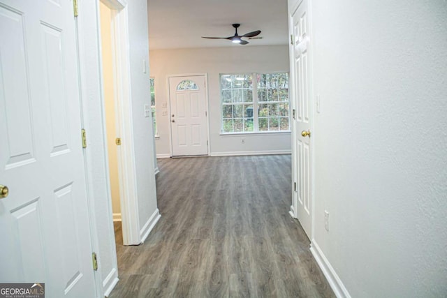 hall with dark hardwood / wood-style flooring