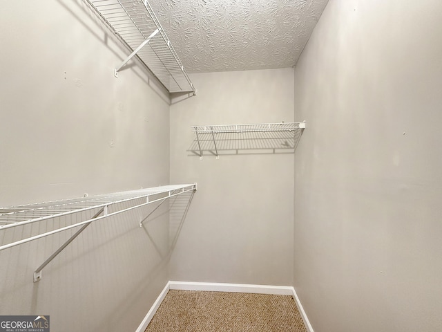 walk in closet featuring carpet flooring