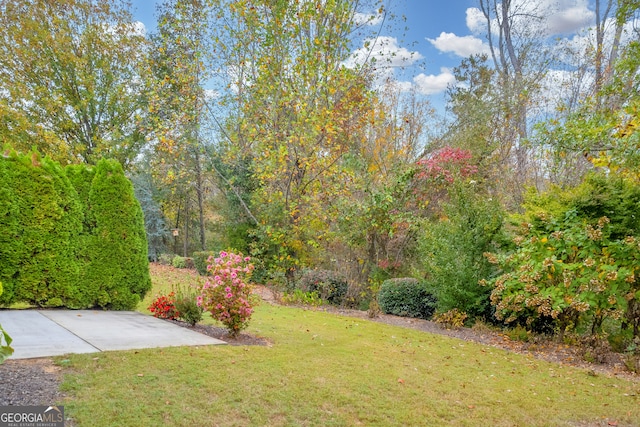 view of yard featuring a patio area