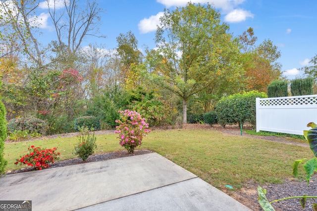 view of yard featuring a patio area