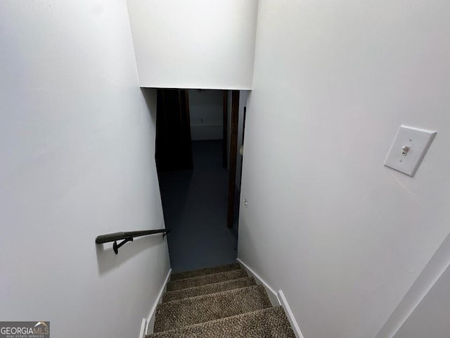 stairway featuring carpet floors