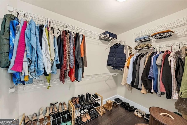 spacious closet with wood-type flooring