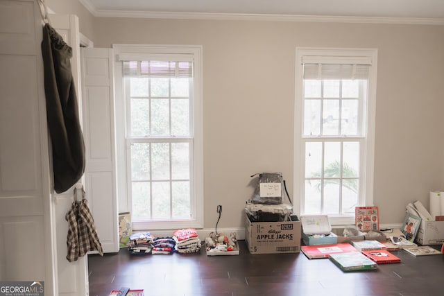 interior space featuring dark hardwood / wood-style floors, a healthy amount of sunlight, and ornamental molding