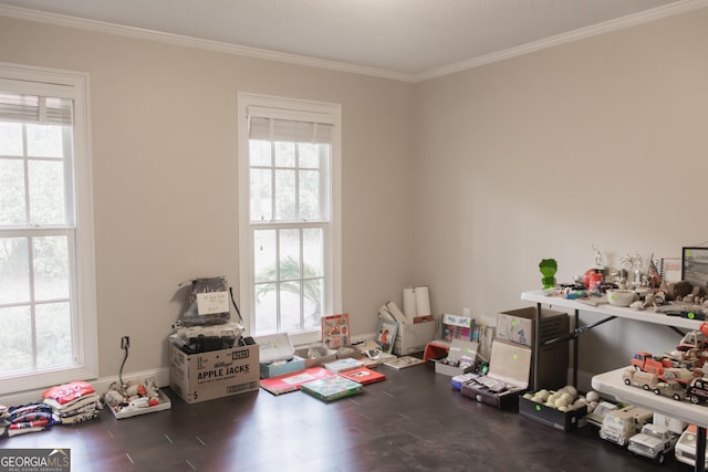 miscellaneous room featuring dark hardwood / wood-style floors and crown molding