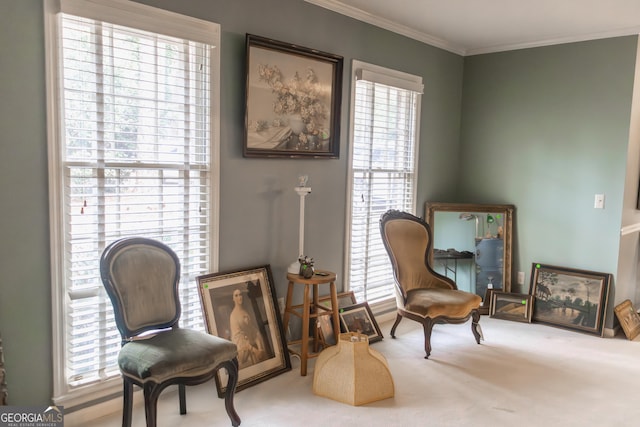 living area featuring carpet floors, a wealth of natural light, and ornamental molding