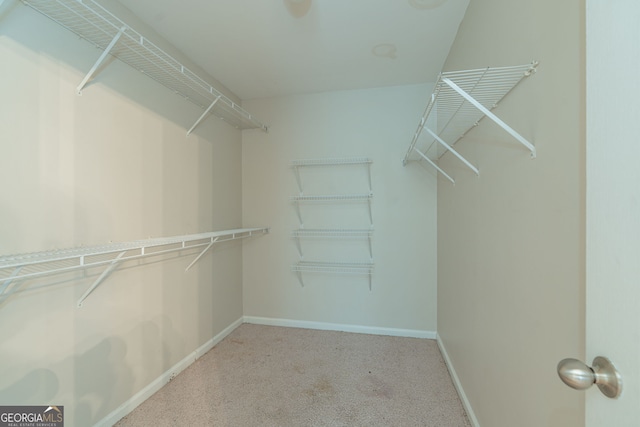 spacious closet featuring light carpet