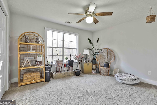 misc room featuring carpet, a textured ceiling, and ceiling fan