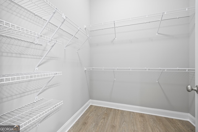 spacious closet featuring wood-type flooring