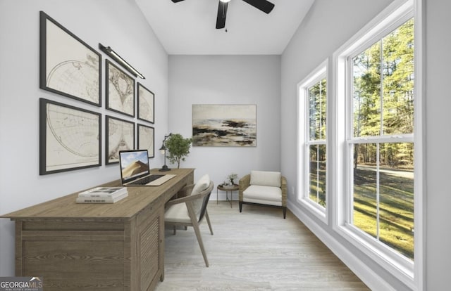 office area with light hardwood / wood-style flooring and ceiling fan