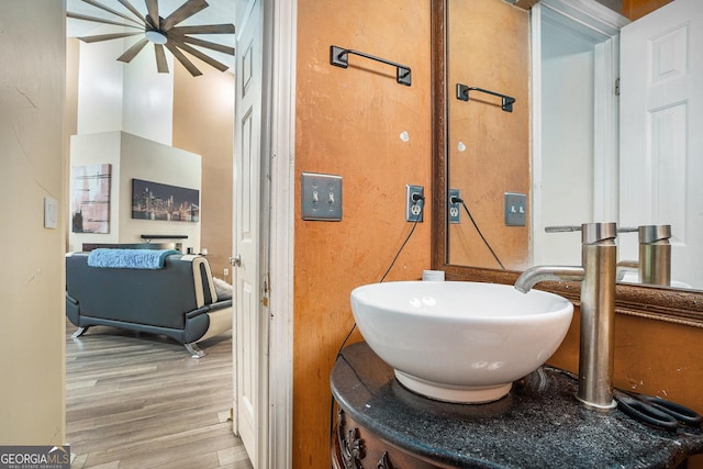 bathroom with wood-type flooring and vanity