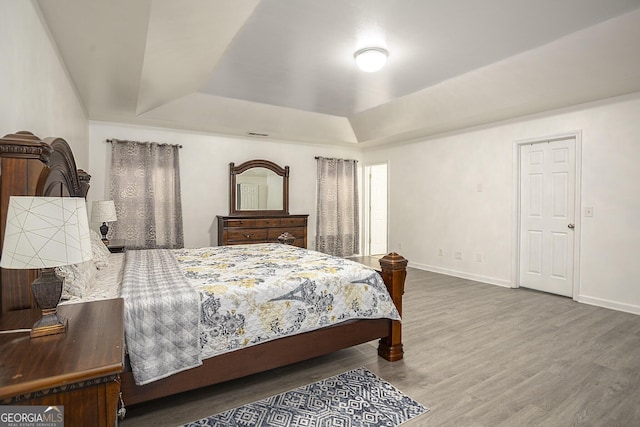 bedroom with a raised ceiling and wood-type flooring