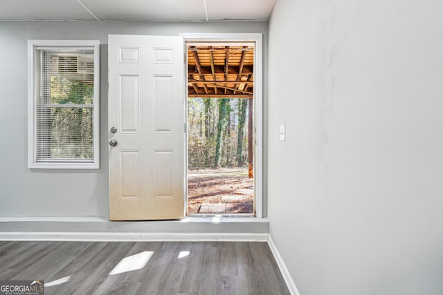 doorway with hardwood / wood-style floors and plenty of natural light