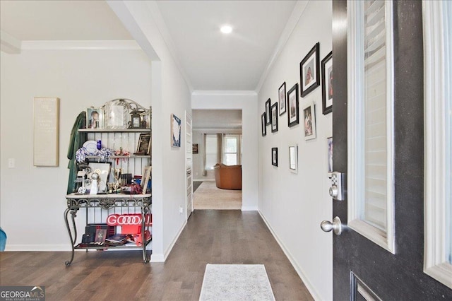 hall with dark hardwood / wood-style floors and ornamental molding