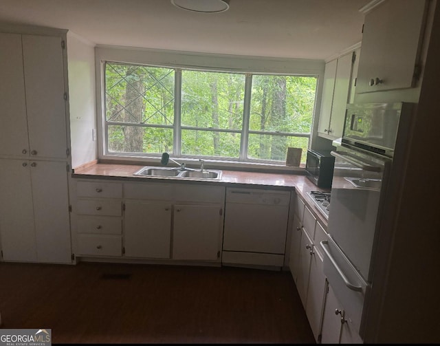 kitchen featuring white cabinets, dishwasher, sink, and dark wood-type flooring