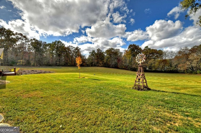 view of yard