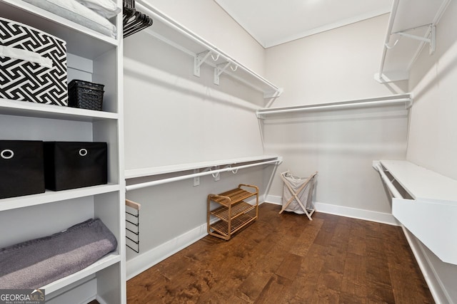 walk in closet featuring wood finished floors