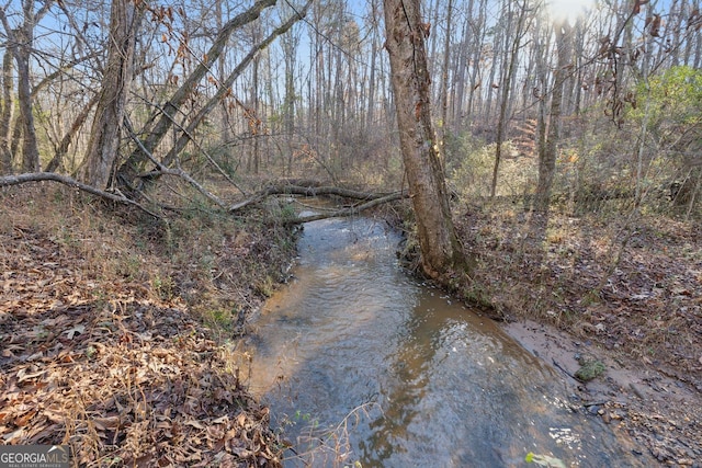 property view of water featuring a wooded view