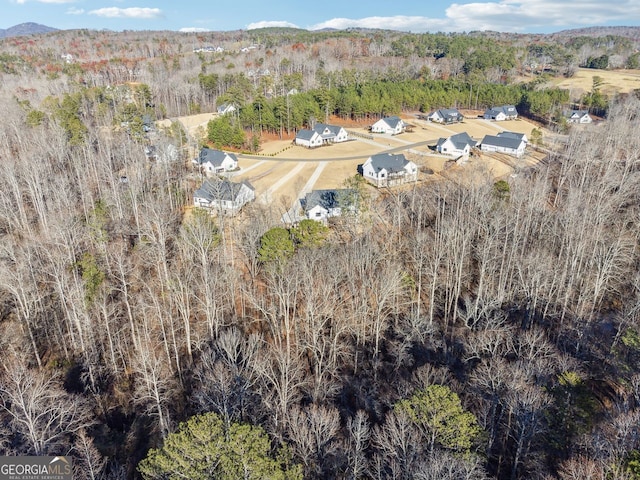 bird's eye view with a wooded view