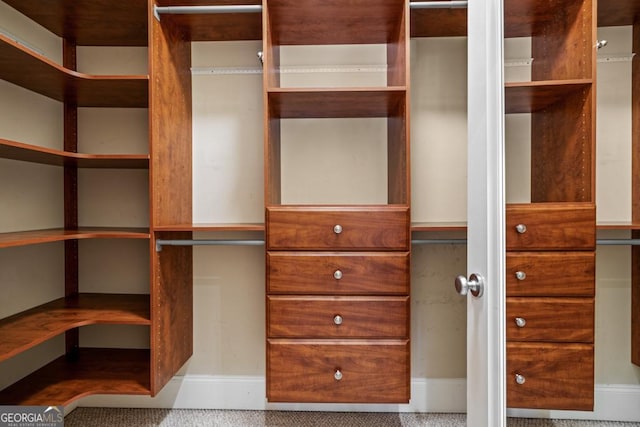 walk in closet with carpet floors