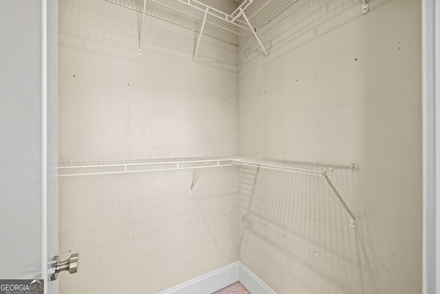 view of spacious closet