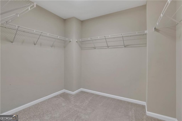 spacious closet with light carpet