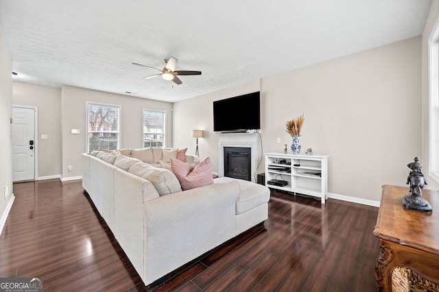 living room featuring ceiling fan, dark hardwood / wood-style flooring, and a textured ceiling