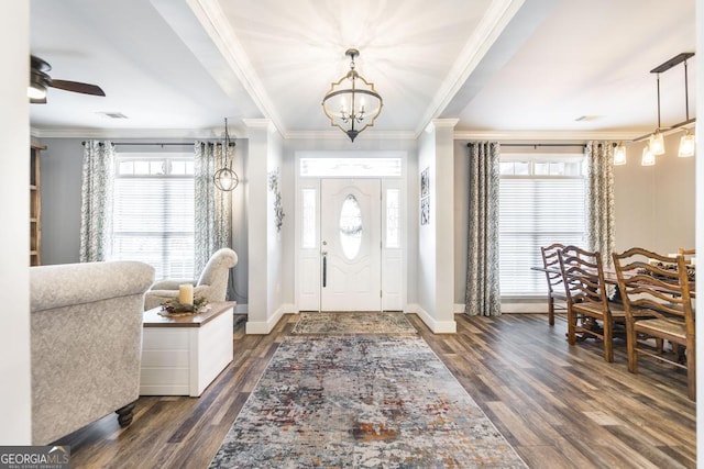 entryway featuring crown molding, plenty of natural light, dark wood-type flooring, and ceiling fan with notable chandelier