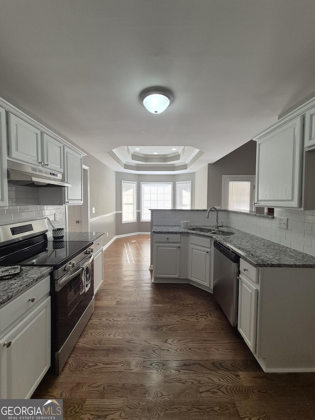 kitchen with dark wood-type flooring, a raised ceiling, sink, appliances with stainless steel finishes, and white cabinetry