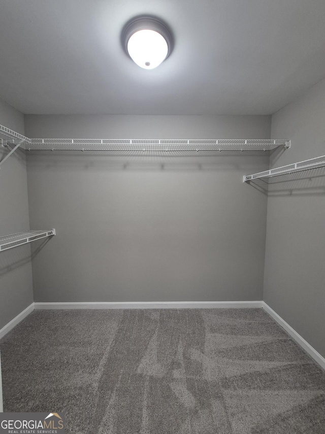 walk in closet featuring carpet flooring