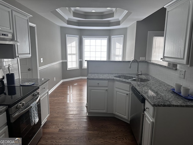 kitchen with decorative backsplash, ventilation hood, stainless steel appliances, dark wood-type flooring, and sink