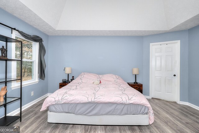 bedroom featuring hardwood / wood-style flooring and a raised ceiling