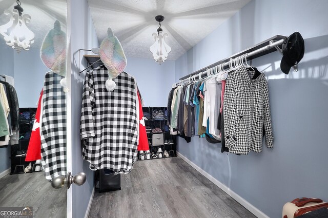 spacious closet with wood-type flooring