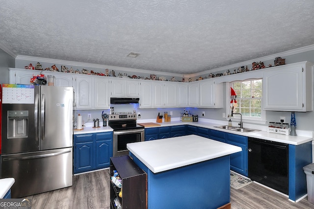 kitchen featuring blue cabinetry, white cabinetry, sink, and appliances with stainless steel finishes