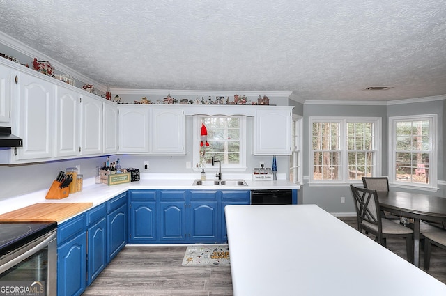 kitchen featuring white cabinetry, crown molding, blue cabinets, and sink