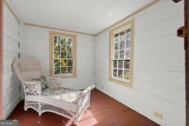 sitting room featuring wood walls and dark wood-type flooring